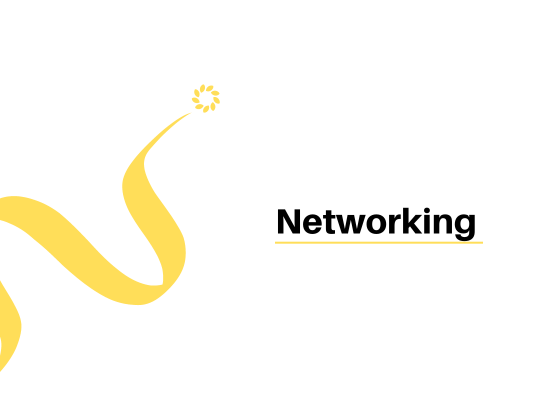 Continuano le attività di networking