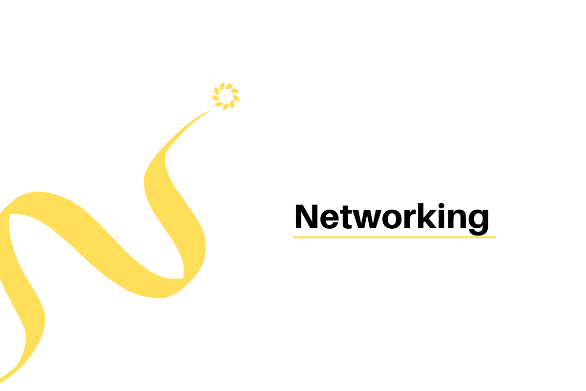 networking