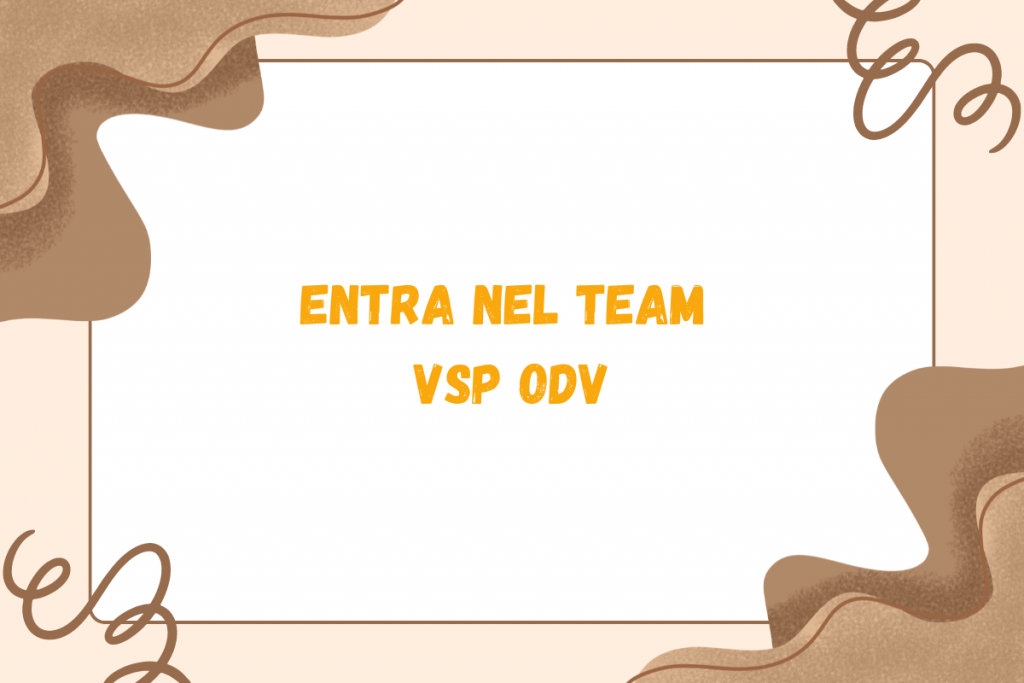 Entra nel team VSP odv