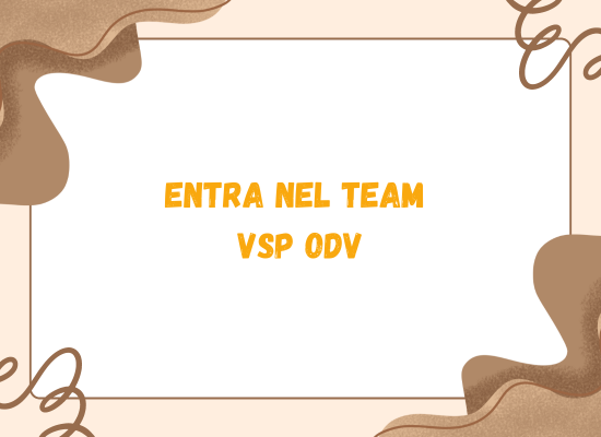 Entra nel team VSP odv