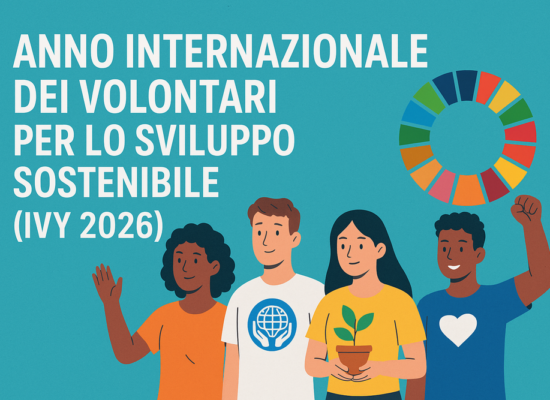 Anno Internazionale dei Volontari per lo Sviluppo Sostenibile
